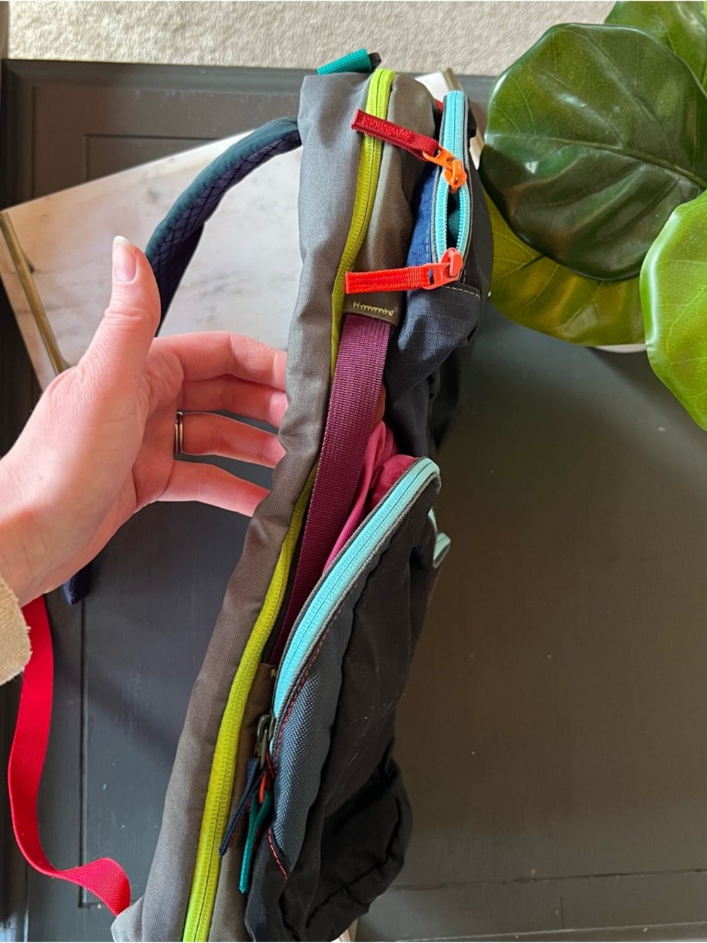 cotopaxi TARSA 16L Del Dia backpack colorful black pink teal backpack travel - Picture 3 of 10
